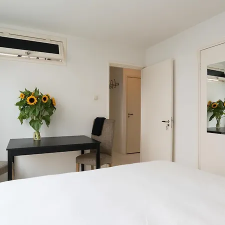 Comfy Studio Trendy Area